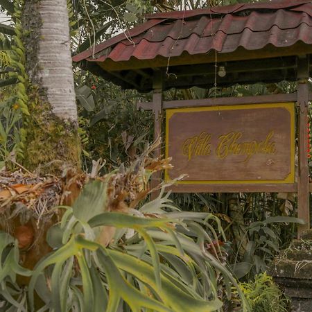 Villa Chempaka Ubud  Ngoại thất bức ảnh
